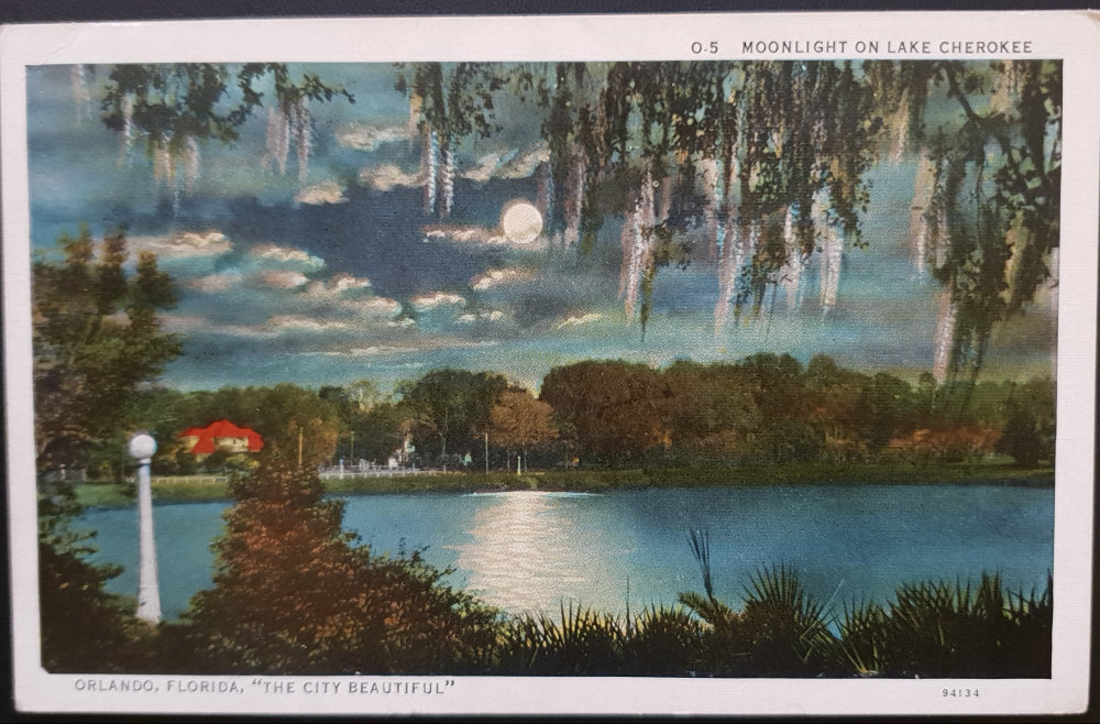 (image for) postcard USA - FL - Florida #0008